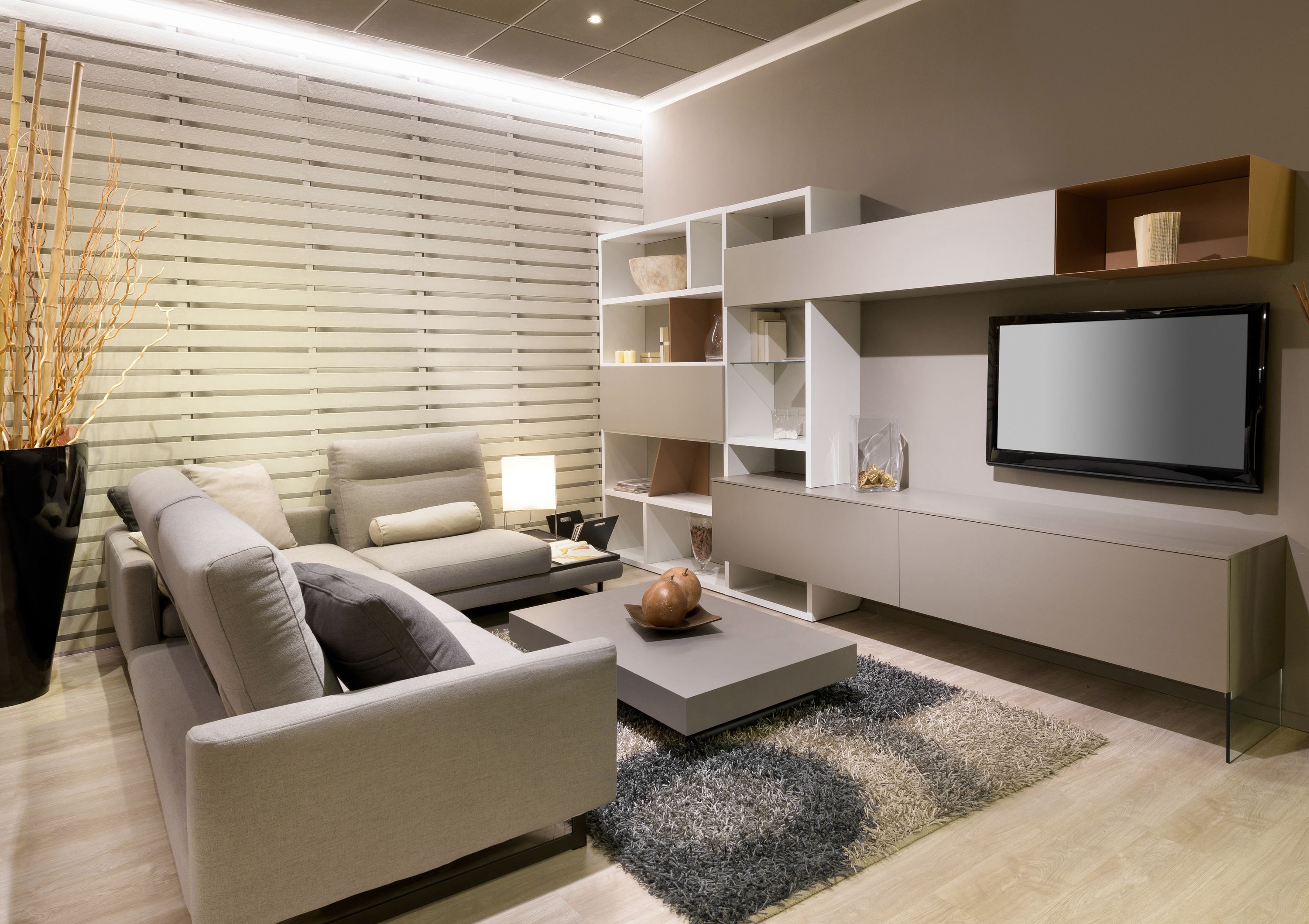 Soft Minimal Apartment