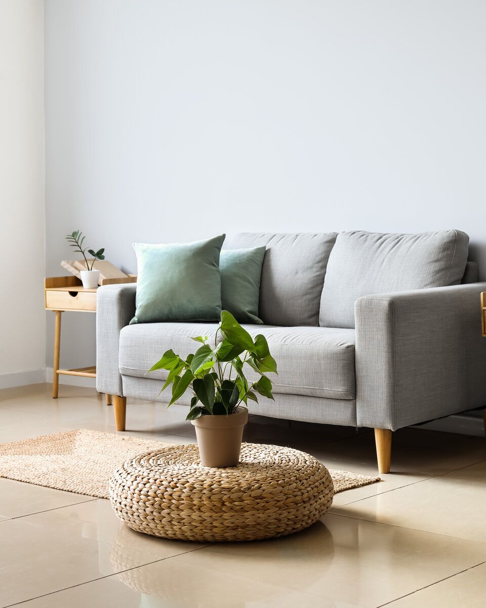 Soft Minimal Apartment — gallery image 2